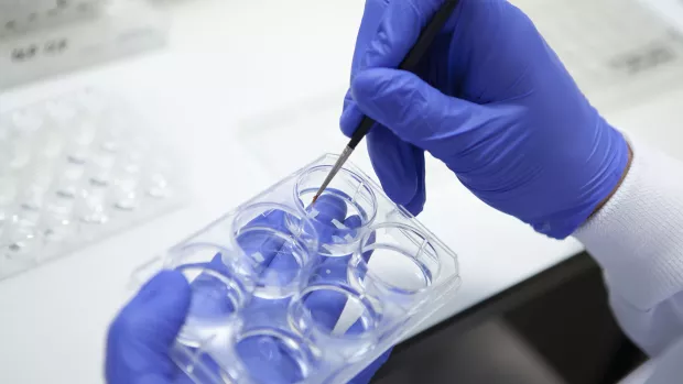 Here For Everyone With Ms Ms Society